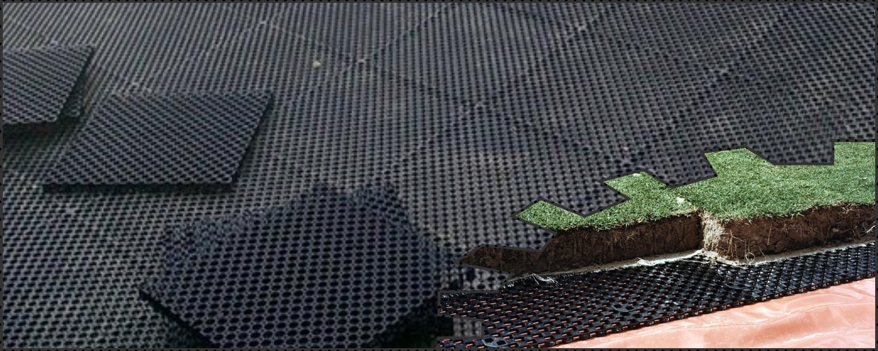 Slide Image 5
